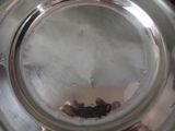 someone is holding a silver plate with a bird in it