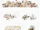 de nombreux types de fleurs disposés sur un fond blanc