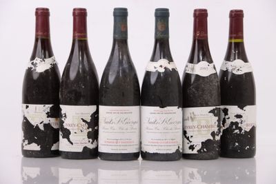six bouteilles de vin sont alignées sur une surface blanche