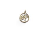 an image of a gold pendant with a flower inside of it