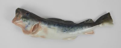 a fish that is sitting on a white surface