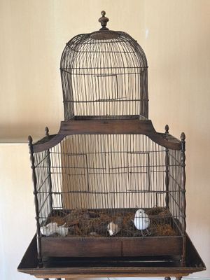 une cage à oiseaux posée sur une table, avec une balle à l'intérieur