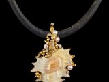 un gros plan d'un collier orné d'un coquillage et de perles sur fond noir