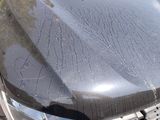 a car that has been washed with a lot of water