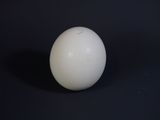 une boule blanche posée sur une surface noire