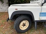 a white truck with a blue stripe parked in the grass