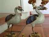 two birds that are standing next to each other on a table