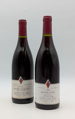 deux bouteilles de vin rouge posées l'une à côté de l'autre sur une surface blanche