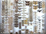 many different kinds of moths displayed in a shadow box