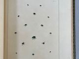 an open book with a picture of bugs on the pages