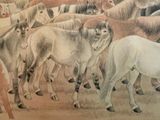 many horses that are standing together in a field
