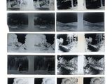 several black and white photographs of trees in a forest