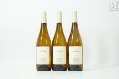 trois bouteilles de vin posées sur une table blanche