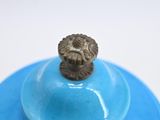 a blue bowl with a lion head on it