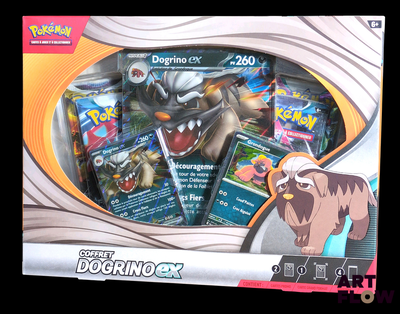 une boîte de cartes Pokémon dans laquelle se trouve un chien