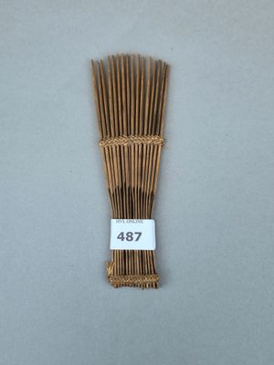 un gros plan sur un bouquet de tiges de bambou posé sur une table