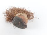 a small bird nest with a bird ' s nest on it