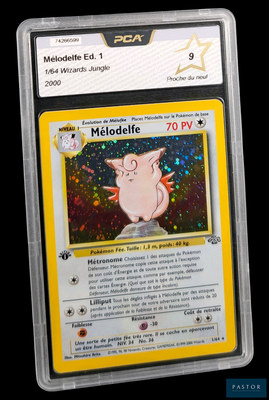 une carte Pokémon sur laquelle figure l'image d'un cochon