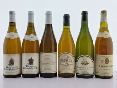 six bouteilles de vin sont alignées sur une table