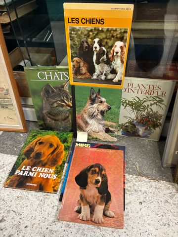 Lot de livres sur le thème des chiens et chats, plante d'intérieu...
