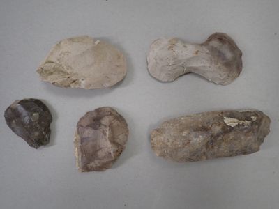 five different types of rocks on a white surface