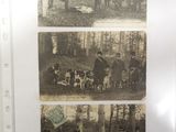 trois photos représentant des personnes et des animaux dans les bois