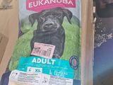 un sac de croquettes posé sur une boîte en carton