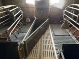 a room with a lot of cows inside of it