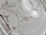 a close up of a glass of water with a bug in it