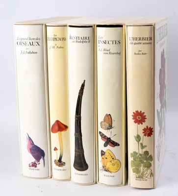 quatre livres alignés sur une surface blanche, sur fond blanc