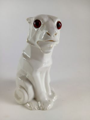 un chien blanc aux yeux rouges, assis sur une surface blanche