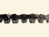 a picture of a row of teeth hanging on a wall