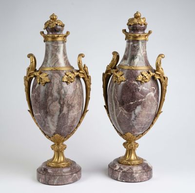 paire de vases anciens en marbre, avec des anses dorées, posés sur des socles en marbre