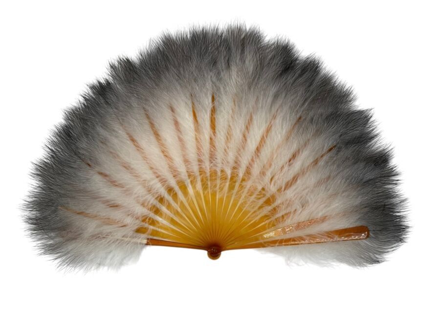 Plumes, Europe, vers 1890-1900