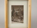 an old photo of a snowy landscape with trees in the foreground