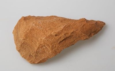 a piece of bread on a table with a white background