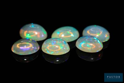 quatre oplites blancs sont alignés sur une surface noire