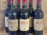 six bottles of red wine are lined up on a wooden shelf