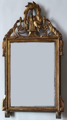 a mirror hanging on the wall with a bird on it