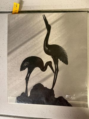 a picture of a picture of two birds in a frame