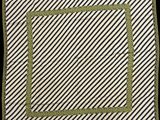 a black and white square with a green border on a black background