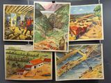 four pictures of a train on a wall hanging on a rope