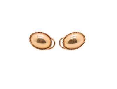 a close up of a pair of gold earrings on a white background