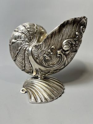 une image représentant un objet argenté en forme de coquillage posé sur une surface blanche