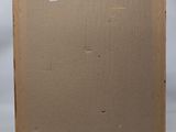 a painting of a cat sitting in front of a cardboard box