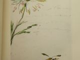 an open book with a drawing of a flower and a bee on it