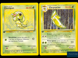 two pokemon cards with a picture of a green and yellow pokemon