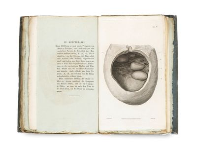 an open book with a drawing of a human heart inside of it
