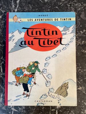 a book with a picture of two people on skis in the snow