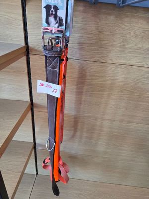 a pair of skis hanging on a rack in a store